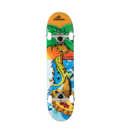 Skateboard Crandon 7,75 Palm