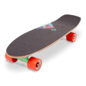 Street Surfing Rocky Mountain cruiser