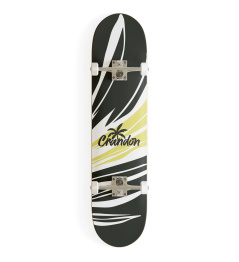 Skateboard Crandon 7,75 Branch