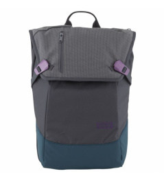 Batoh Aevor Daypack echo purple 2019
