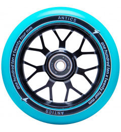 Kolečko Antics Glider 110mm tyrkysové