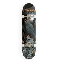 Skateboard Crandon 7,75 Raven