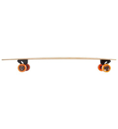 AOB Sunny Pintail Nature Complete